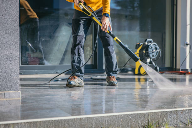 Best Affordable Pressure Washing  in Dland, MI