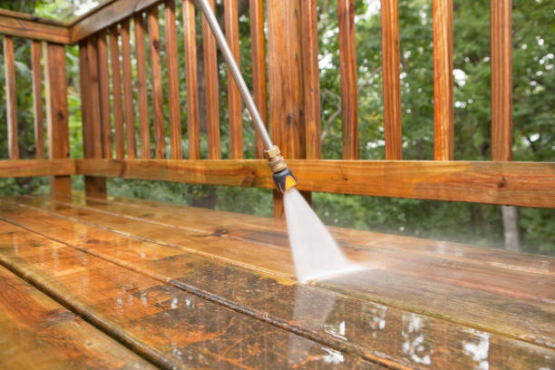 Best Affordable Power Washing  in Dland, MI