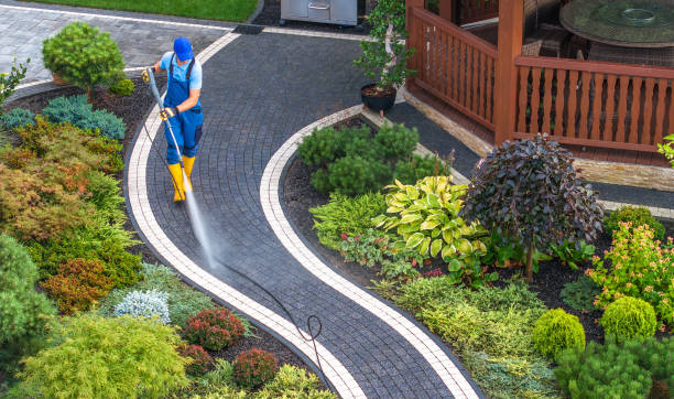 Best Local Pressure Washing Services  in Dland, MI